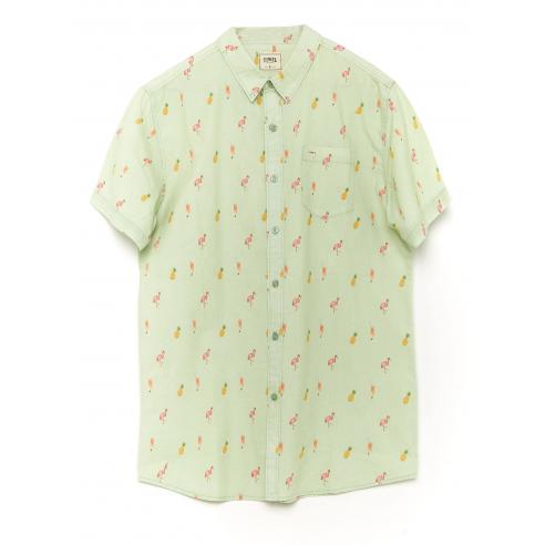 Camisa Tiwel Aruba Pastel green