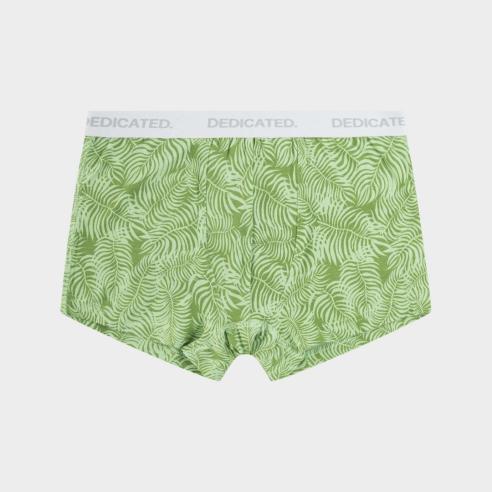 Dedicated Boxer Briefs Kalix Palm Leaves Green