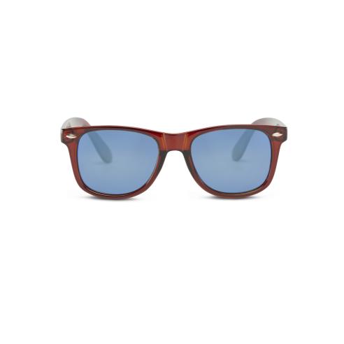 Hydroponic EW Wilton Clear Brown and blue Sunglasses